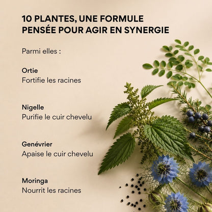 Cure Cheveux Anti-Chute