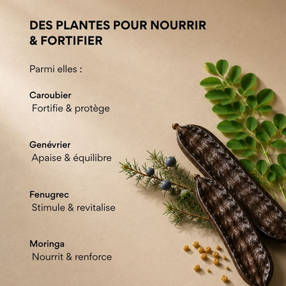 Cure Cheveux Nourrissante
